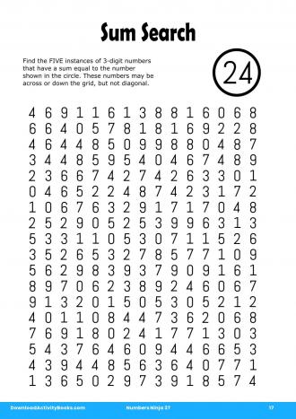 Sum Search #17 in Numbers Ninja 37