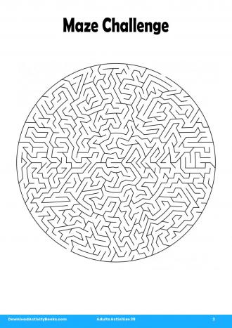 Maze Challenge in Adults Activities 39