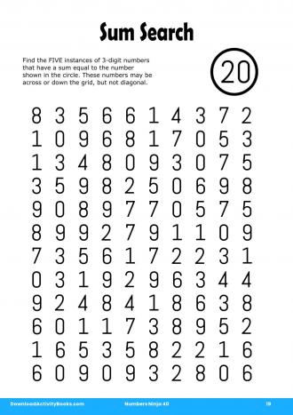 Sum Search in Numbers Ninja 40