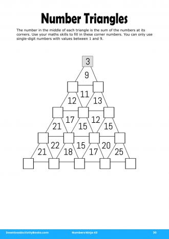 Number Triangles in Numbers Ninja 40