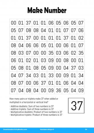 Make Number #24 in Numbers Ninja 41
