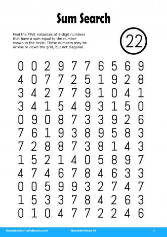 Sum Search #2 in Numbers Ninja 46