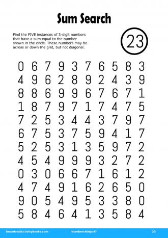 Sum Search in Numbers Ninja 47