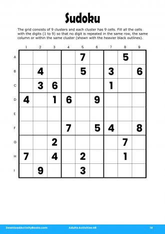 Sudoku in Adults Activities 48