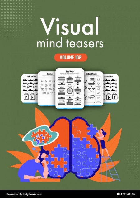 Visual Mind Teasers 102