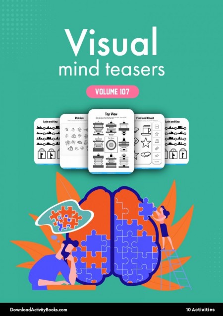 Visual Mind Teasers 107
