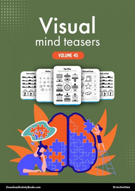Visual Mind Teasers 45