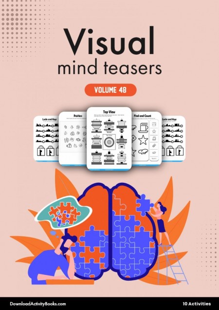 Visual Mind Teasers 48